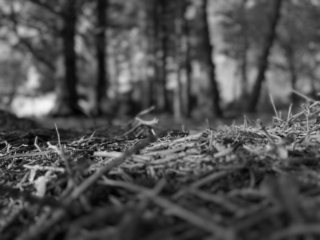 © Regina Broersma